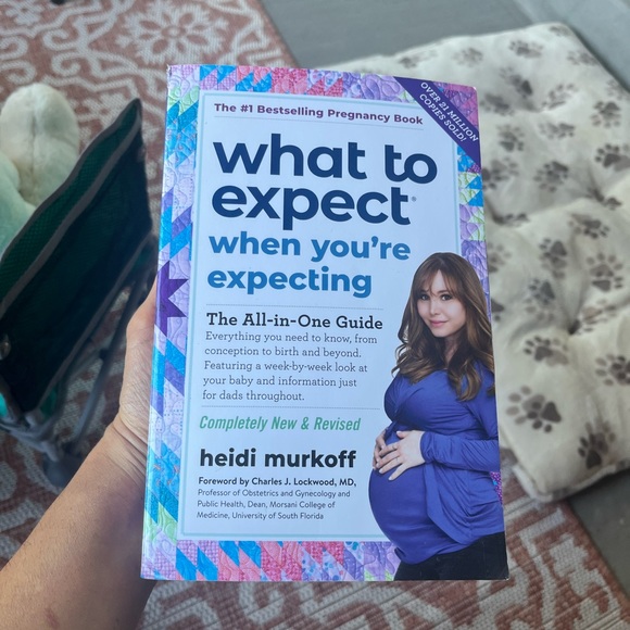 Other - What to Expect When You're Expecting Book